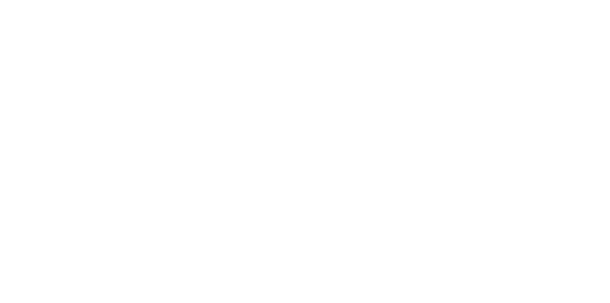 Menhiris Group
